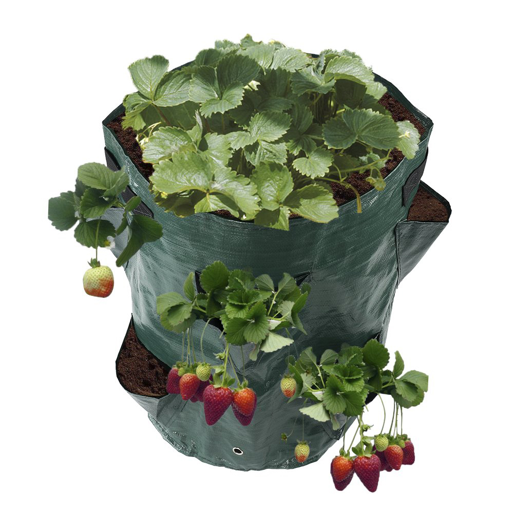 

PE Multi-Pocket Strawberry Planting Bags Plant Herb Bags, 10, 501 Original