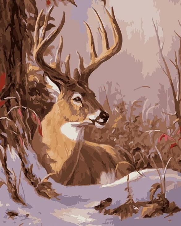 

The Buck in the Snow – Paint By Numbers - 40*50CM, 501 Original