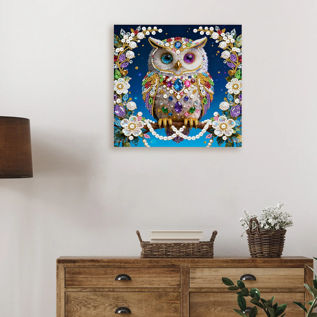 Owl DIY Pearl Art Diamond Painting Kit for Adults Home Decor 25x25cm With Frame