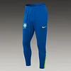 Joyfball 2024/2025 Brazil Half-Pull Training Suit Light Green Football Shirt 1:1 Thai Quality