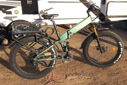 M3 Walker Electric Bike