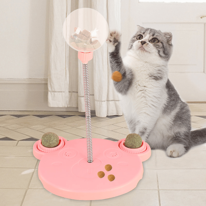 Pet Feeder Toy