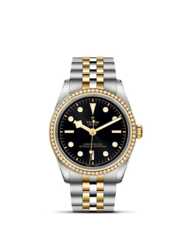Tudor Black Bay 36 S&G