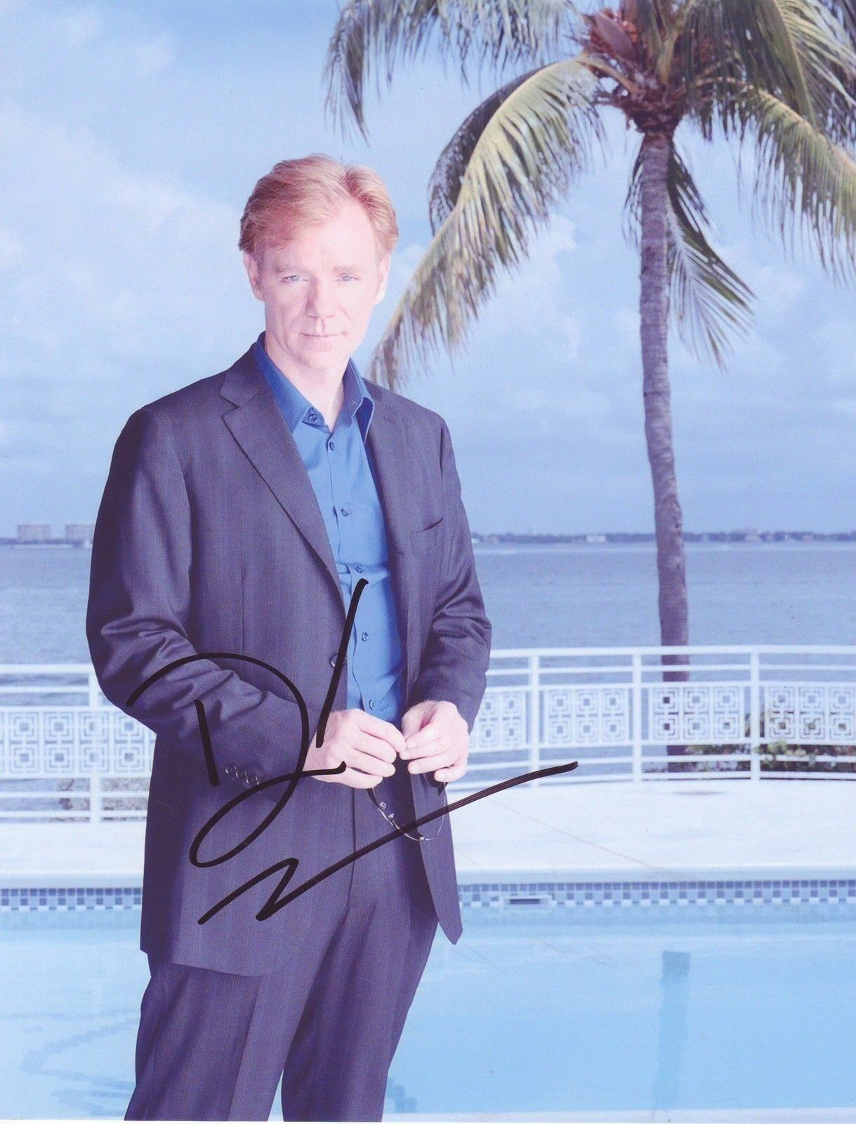 DAVID CARUSO CSI MIAMI AUTOGRAPH SIGNED PP Photo Poster painting POSTER