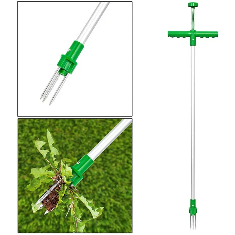 Root Remover Tool Weeding Out Your Garden