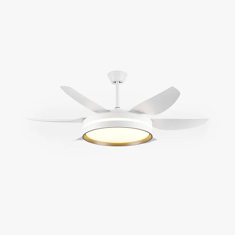 Haydn 6-blade ceiling fan with lighting Basic, &empty;130CM