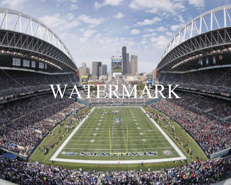 SEATTLE SEAHAWKS CenturyLink Field Glossy 8 x 10 Photo Poster painting Poster