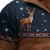 3D Print Christmas Ugly Sweater Retro Color-blocked Men's Hooded Sweatshirt