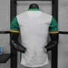 2025 Player Version Cameroon Soccer Jersey Second Away