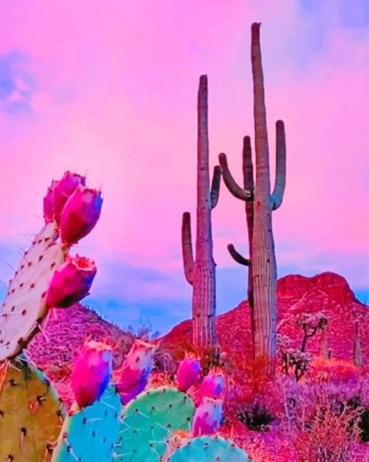 

Aesthetic Sky Cactus – Paint By Numbers - 40*50CM, 501 Original