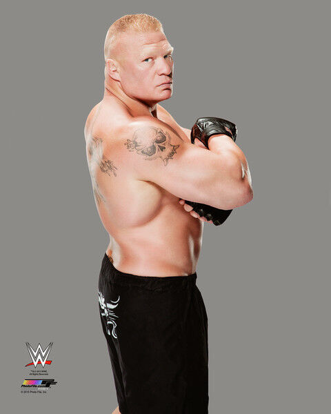 WWE BROCK LESNAR OFFICIAL LICENSED 8X10 WRESTLING Photo Poster paintingFILE Photo Poster painting 4