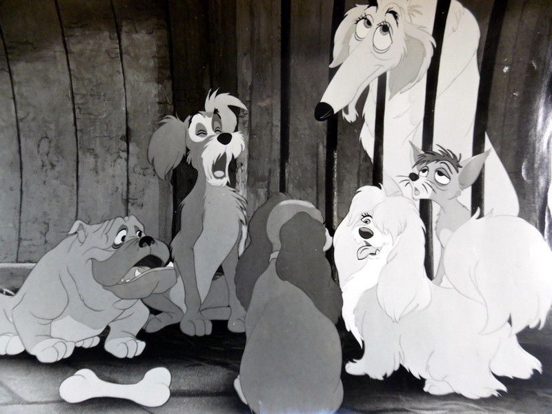 LADY & THE TRAMP Movie Film 8 x 10 Photo Poster painting WALT DISNEY Cartoon 1955 AK1163