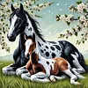 Luxury AB Velvet Diamond Painting Kit - Horse