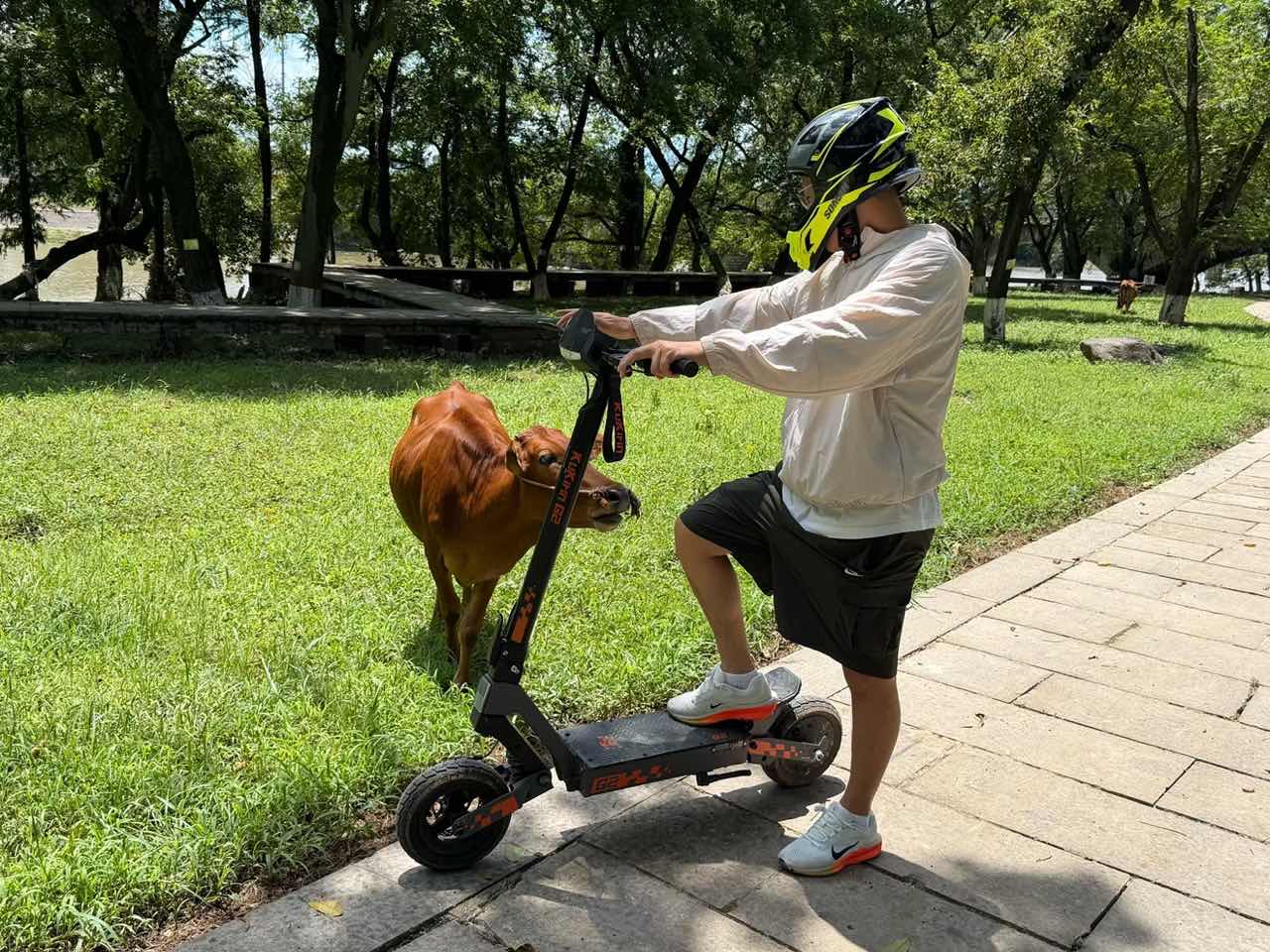 Campus Travel