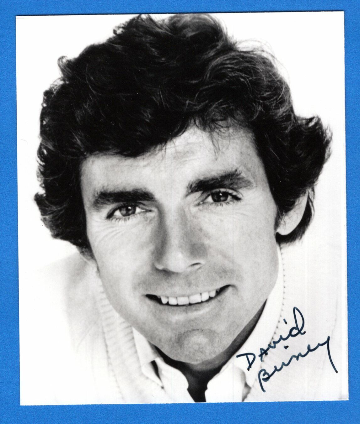 David Birney Actor Hand Signed Autograph 3.5x4 Photo Poster painting