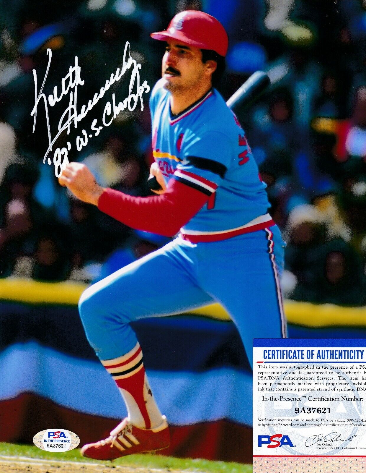 KEITH HERNANDEZ ST. LOUIS CARDINALS PSA AUTHENTICATED 82 WS CHAMPS SIGNED 8x10