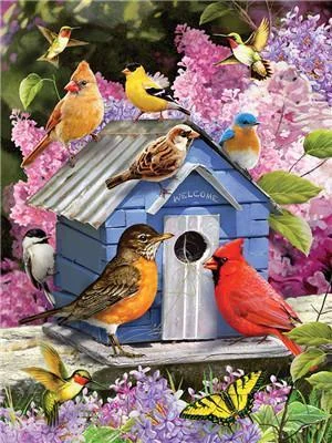 Bird Paint By Numbers Kits UK For Adult Y5528