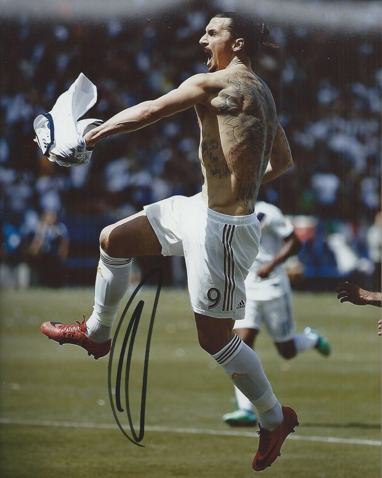 Zlatan Ibrahimovic Signed 8x10 Photo Poster painting Los Angeles Galaxy MLS Autographed COA B