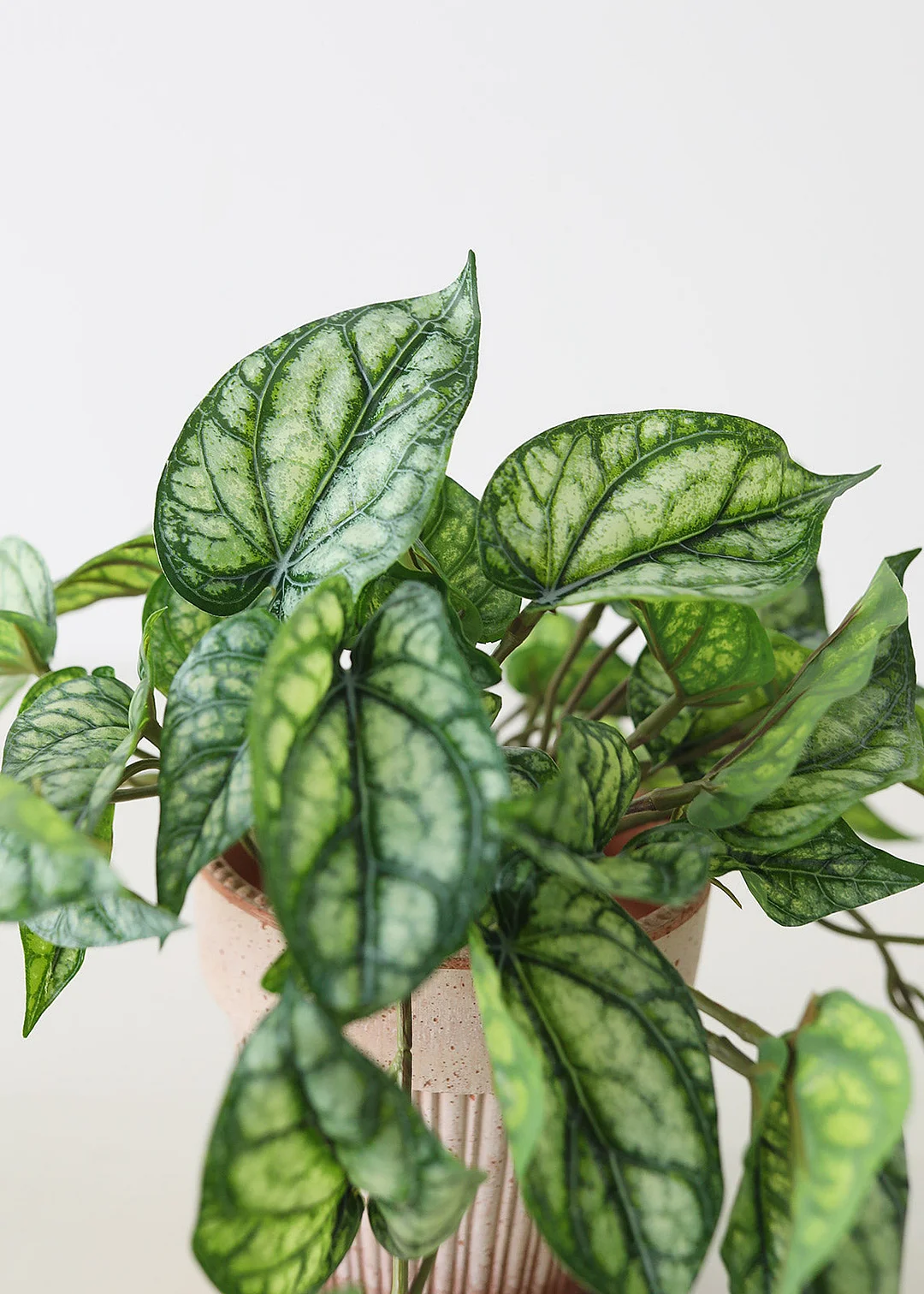 UV Protected Peperomia Fake Hanging Plant - 19.5"