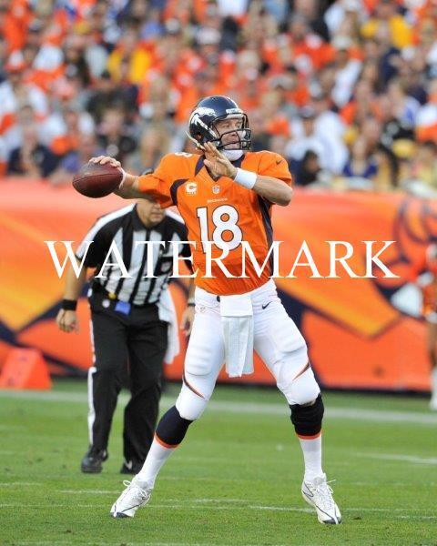 PEYTON MANNING Denver Broncos Glossy 8 x 10 Photo Poster painting Poster