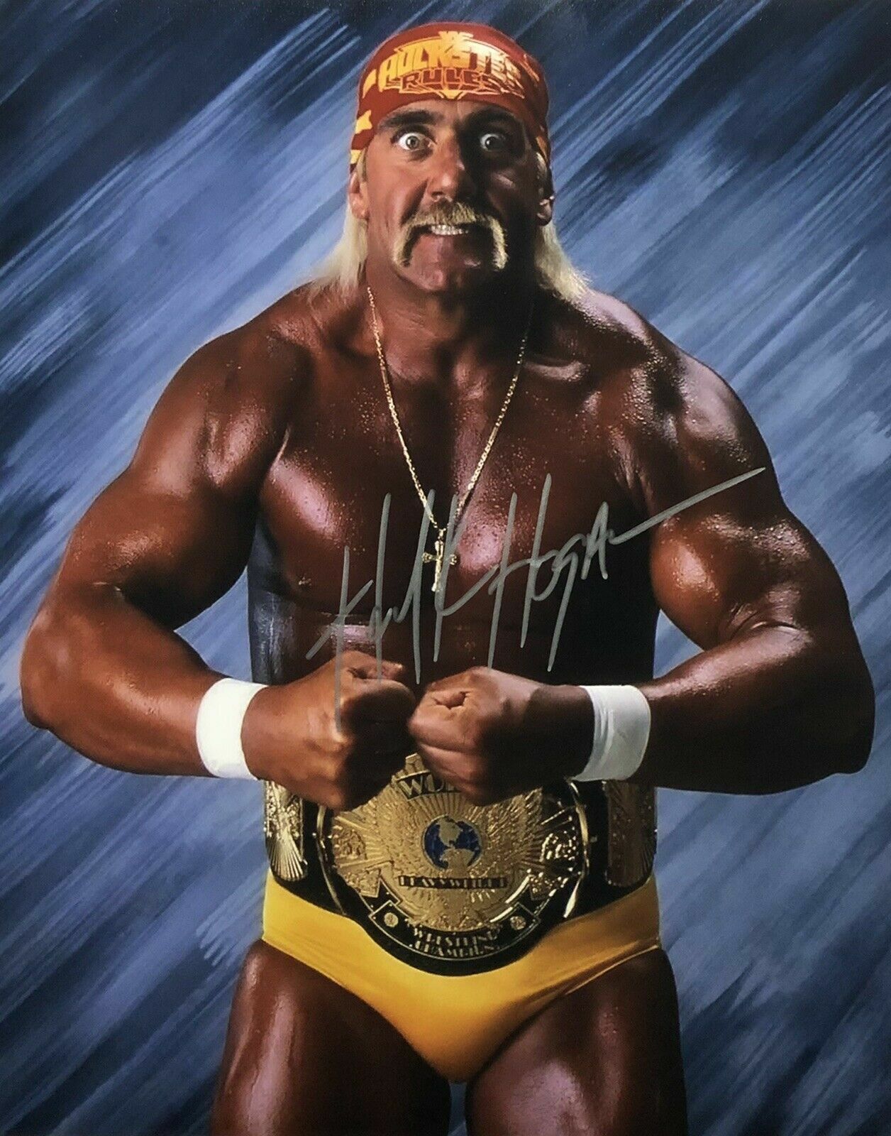 Hulk Hogan Autographed Signed 8x10 Photo Poster painting ( WWE WWF ) REPRINT