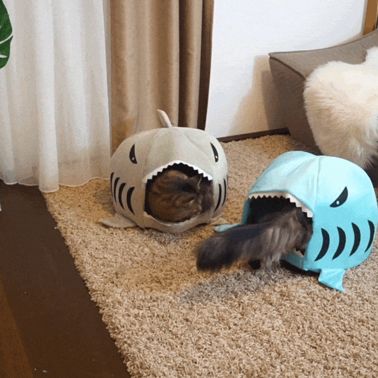 Shark Cat House With Removable Bed Cushion