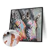 uk.everydayedeals (Limited Stock)Paint By Number - Oil Painting -  Zebra (40*40Cm)