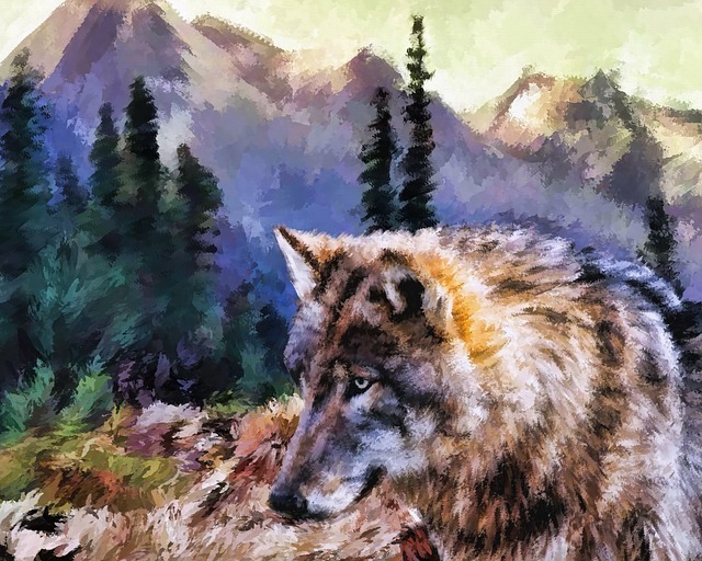 

Gray Tundra Wolf – Paint By Numbers - 40*50CM, 501 Original