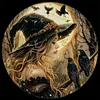 Witch Crow-14CT Stamped Cross Stitch 40*40cm tapestrymarket