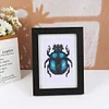 8pcs Insect DIY Mini Round Diamond Painting Set 12x17cm