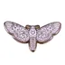 Mariposa Corazón Mágica