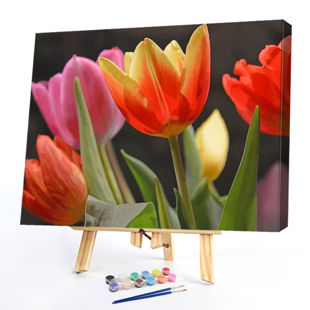 

50*40CM - Paint By Numbers - Tulips, 501 Original
