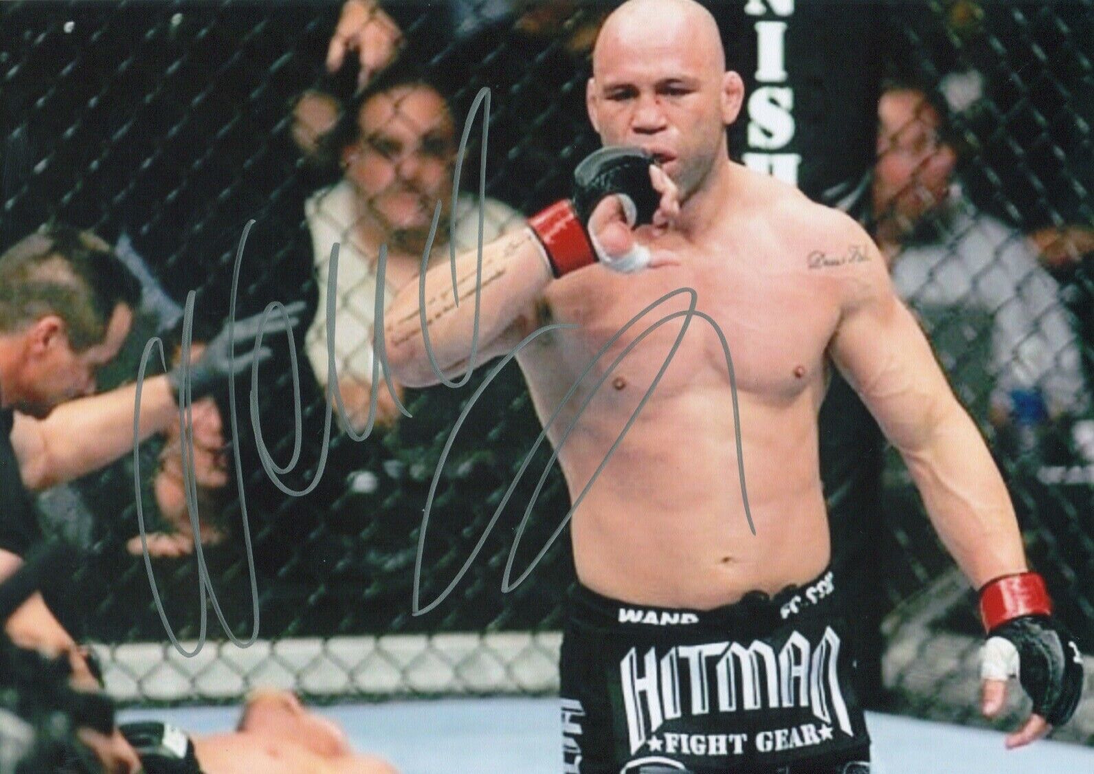 Wanderlei Silva Autographed Signed 8x10 Photo Poster painting ( UFC ) REPRINT