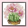 (Counted/Stamped) 14CT Prickly Pear - Cross Stitch 21*21cm/8.27*8.27in(Brand)