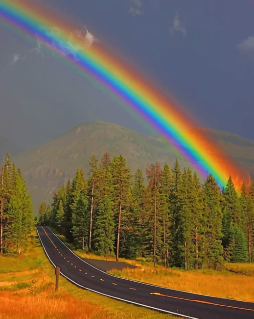 

Rainbow Nature – Paint By Numbers - 40*50CM, 501 Original