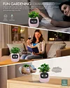 LVY Expression Control Intelligent Small Flower Pot Desktop Planter APP Monitoring Sensor Expression Demand Interactive LCD Screen