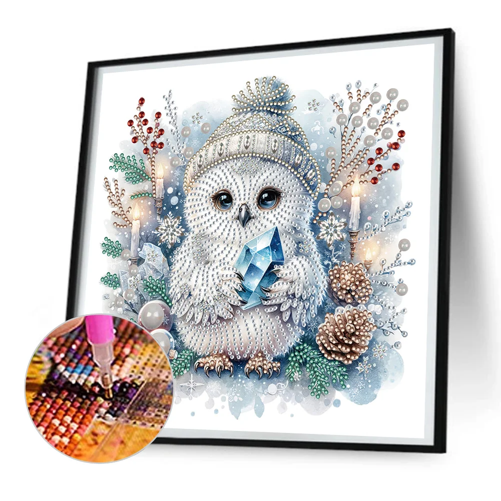 Diamond Painting - Partial Special Shaped Drill - Winter Owl(Canvas|30*30cm)