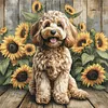 Sunflower Teddy Full 11CT 3 Strands DIY Stamped Cross Stitch Kits 40x40cm Embroidery Needlepoint Starter Kit for Beginners Adults Gift Home Wall Decor