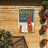 Chicken - Metal Tin Signs(12*16Inch) - Animal