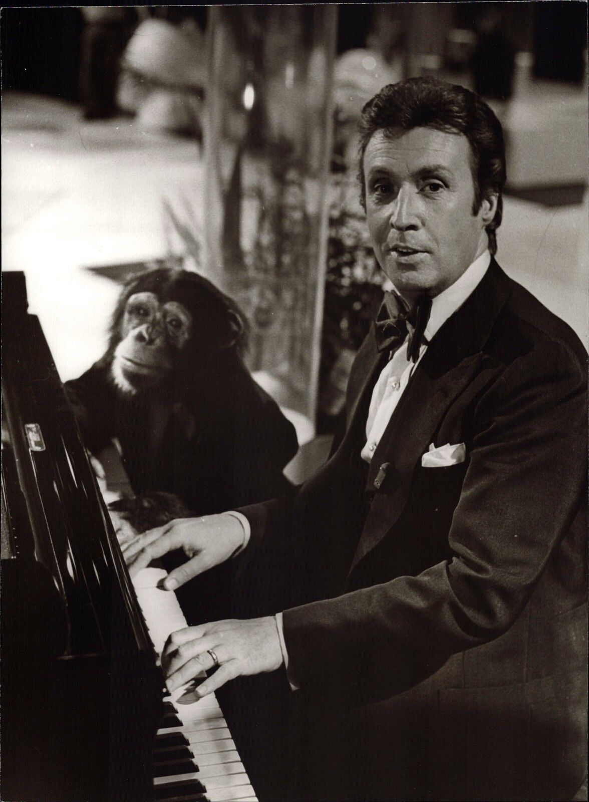 Peter Alexander With Monkey - Vintage Press Photo Poster painting Unfried (U-6326