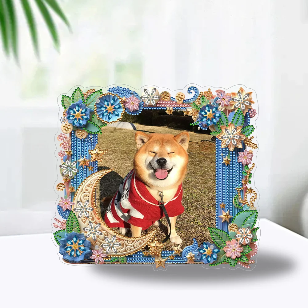 DIY Flower Moon Special Shape Diamond Painting Picture Frame for Home Office