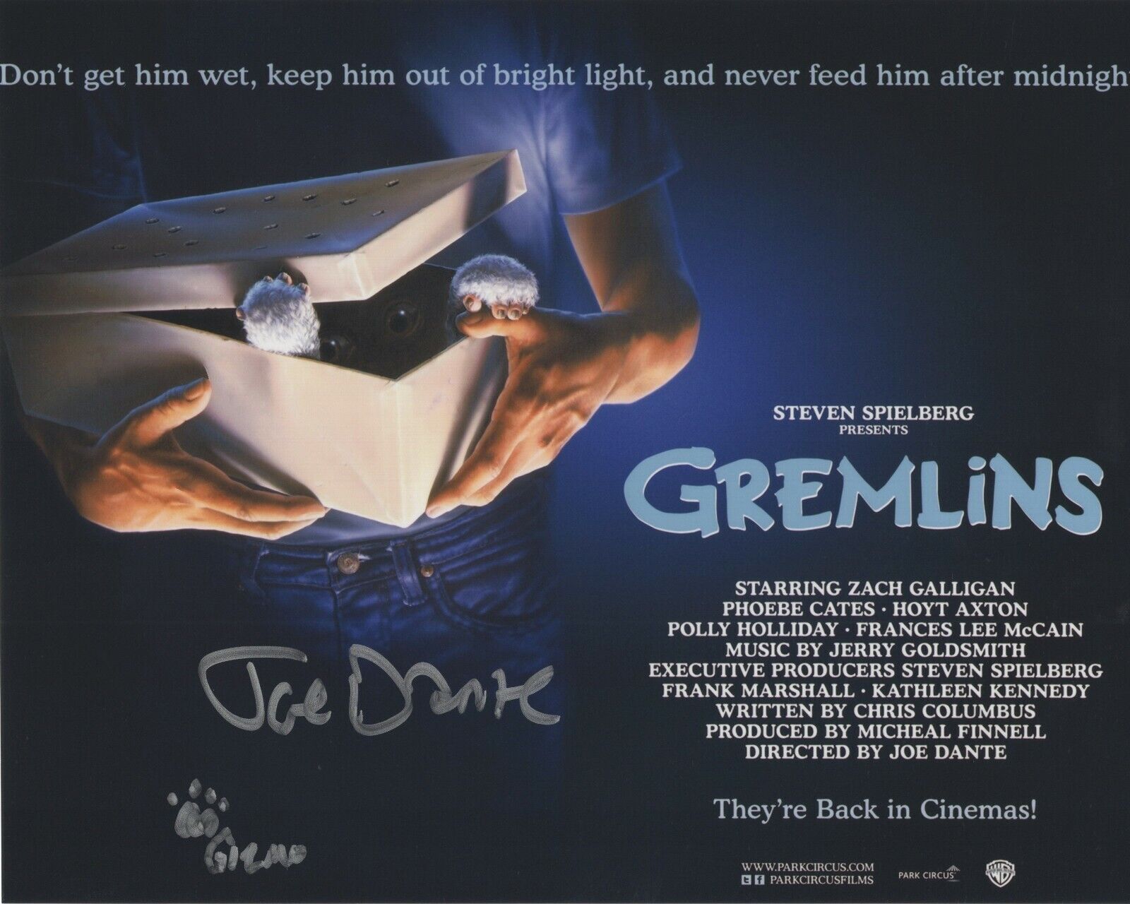 JOE DANTE SIGNED AUTOGRAPH GREMLINS GIZMO 8X10 Photo Poster painting