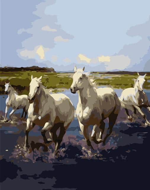 

Wild White Horses – Paint By Numbers - 40*50CM, 501 Original