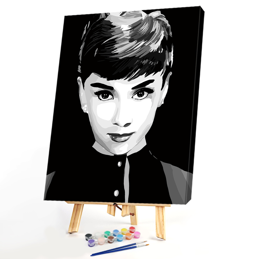

40x50cm - Paint By Numbers Beauty, 501 Original