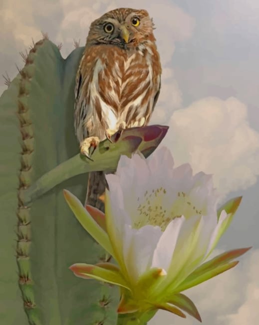 

Owl And Cactus – Paint By Numbers - 40*50CM, 501 Original