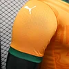2024 Player Version C&ocirc;te d'Ivoire Home Football Shirt 1:1 Thai Quality