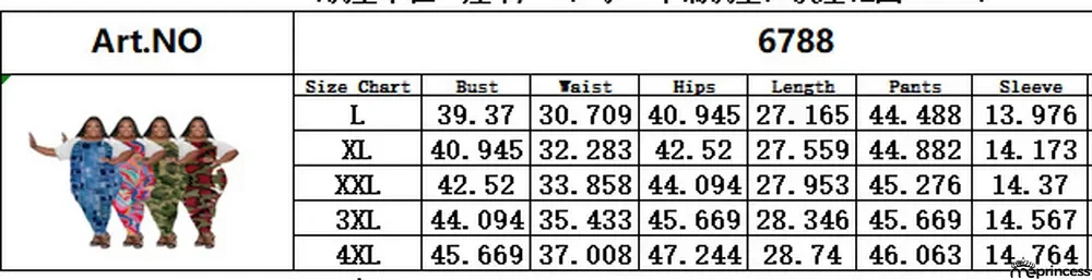 Women's cute Plus Size raglan print two-piece set