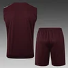Joyfball 2025/2026 Bayern Munich pre-match training Jersey+Shorts  1:1 Thai Quality