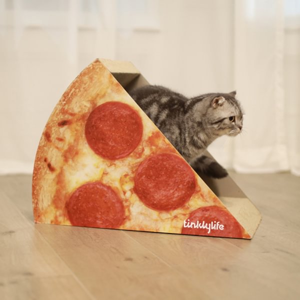 Food Cat House And Scratcher (DIY)
