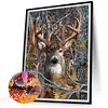 Deer-Full Square Diamond Painting 30*40CM